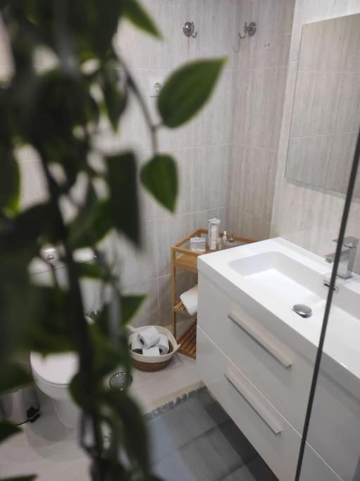 Apartamento Costa De マドリード エクステリア 写真